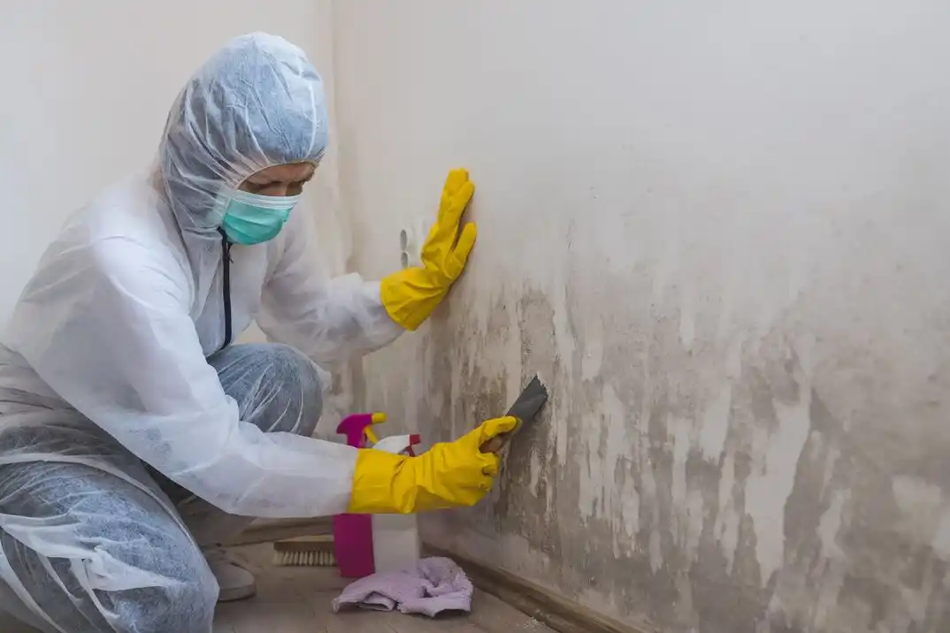 water damage restoration service Arsenal Hill